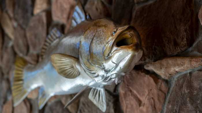 Hoobler Stone - Highland Waters Tasmania